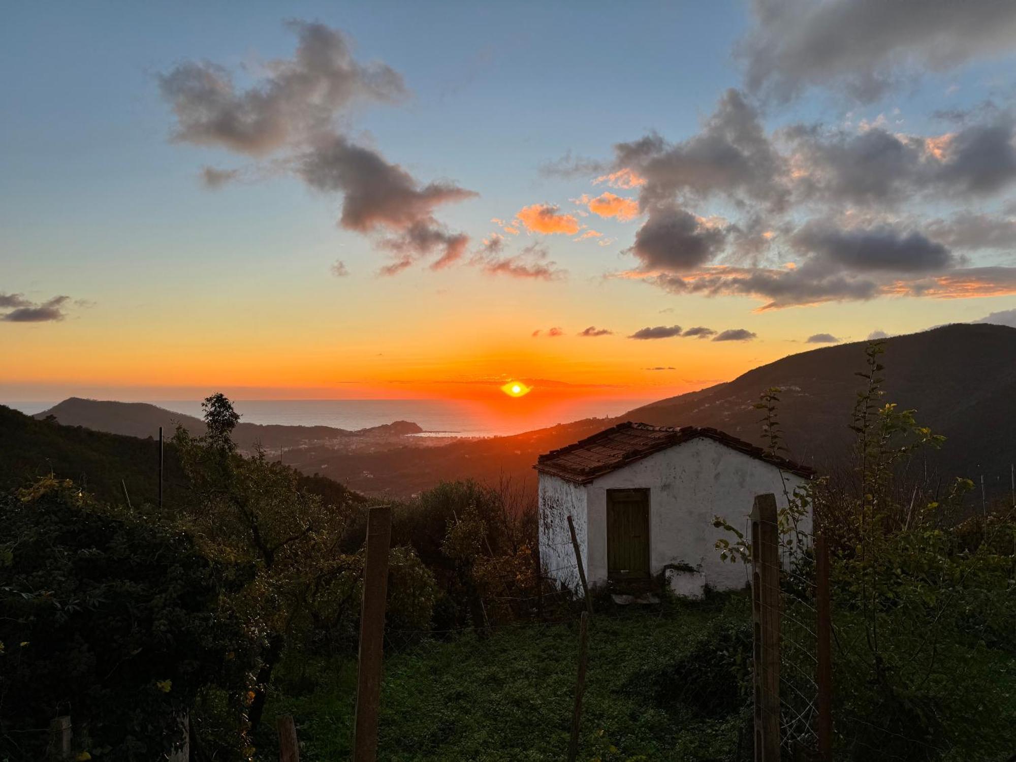 La Collina Sul Mare - Casa Vacanze Sestri Levante Buitenkant foto