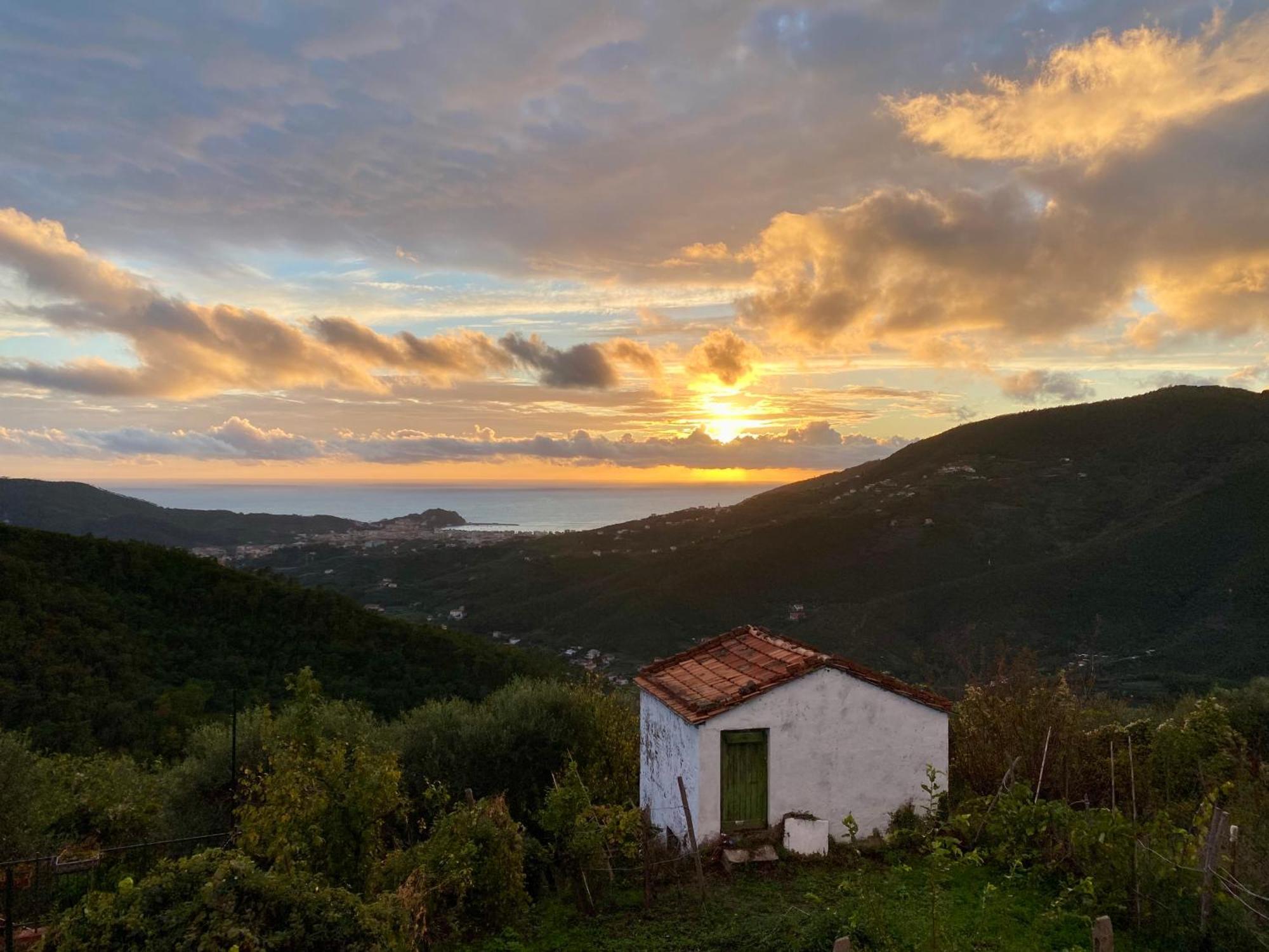 La Collina Sul Mare - Casa Vacanze Sestri Levante Buitenkant foto